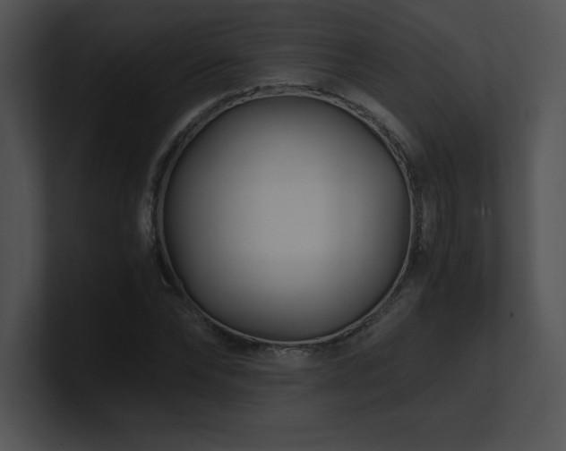 X0000100900878200806241250
