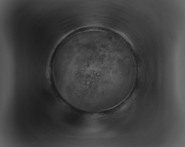 X0000100900879200806241250