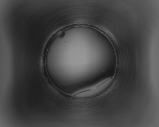X0000100900880200806241250