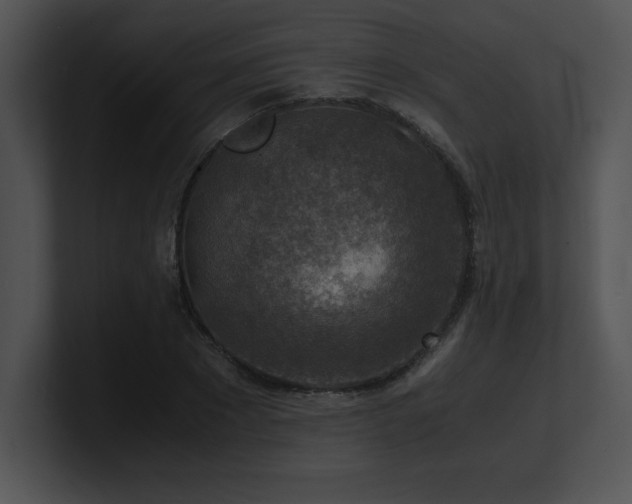 X0000100900881200806241250