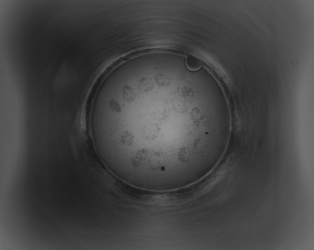 X0000100900883200806241250