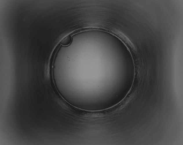 X0000100900884200806241250