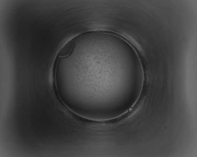 X0000100900885200806241250
