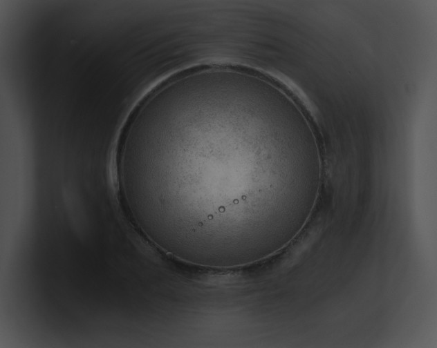 X0000100900887200806241250