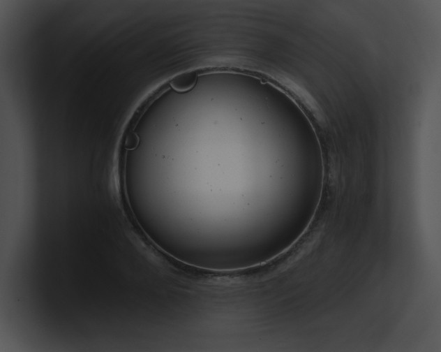 X0000100900888200806241250