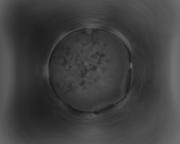 X0000100900891200806241250