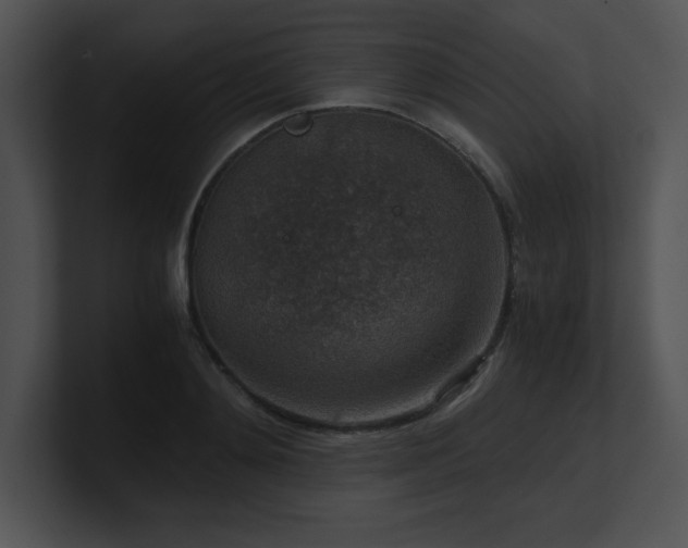 X0000100900892200806241250