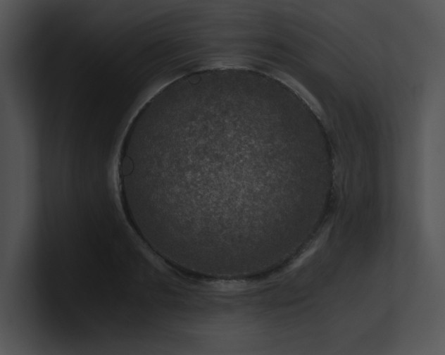 X0000100900893200806241250