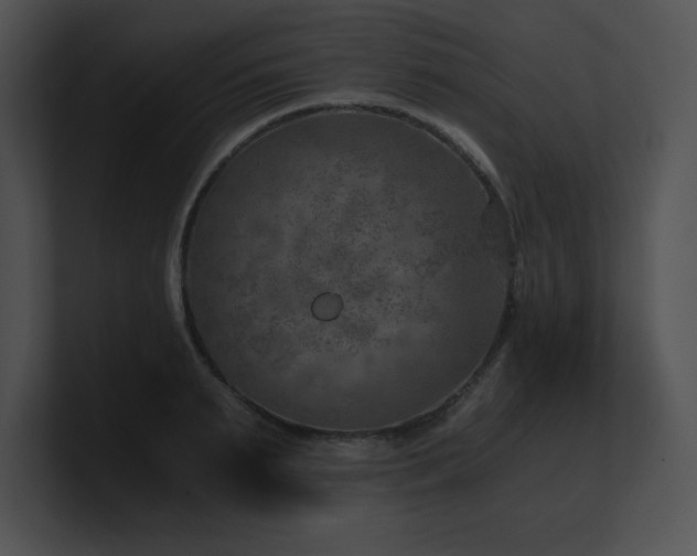 X0000100900895200806241250