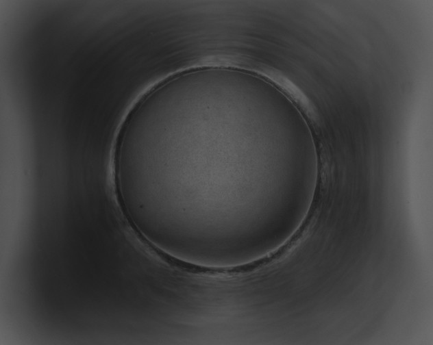 X0000100900896200806241250