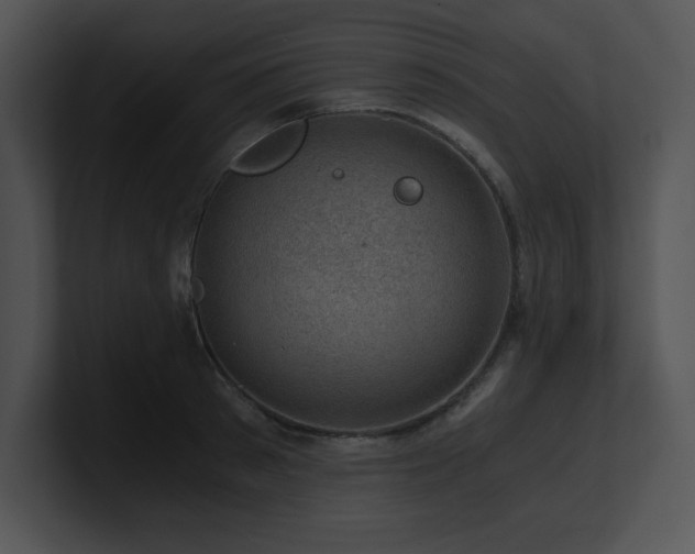 X0000100900897200806241250
