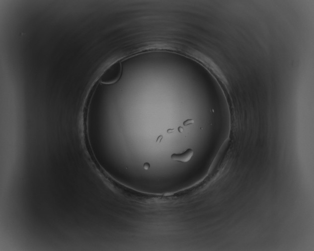 X0000100900898200806241250