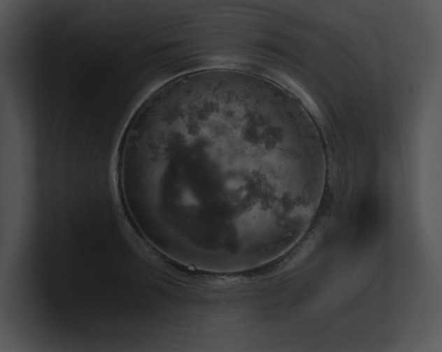 X0000100900899200806241250