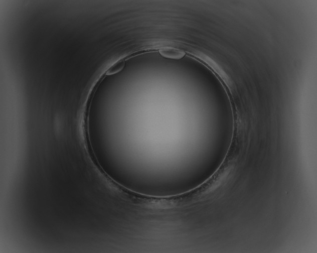 X0000100900901200806241249