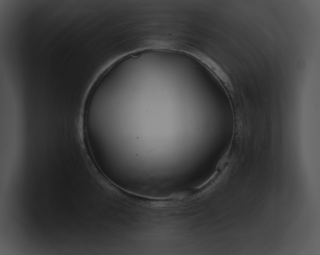 X0000100900904200806241249