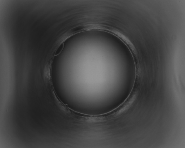 X0000100900905200806241249