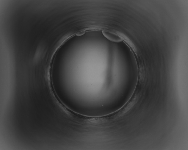 X0000100900906200806241249