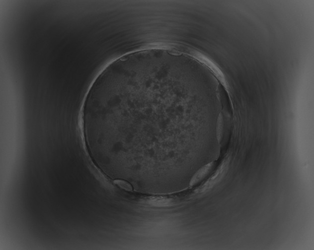 X0000100900907200806241249