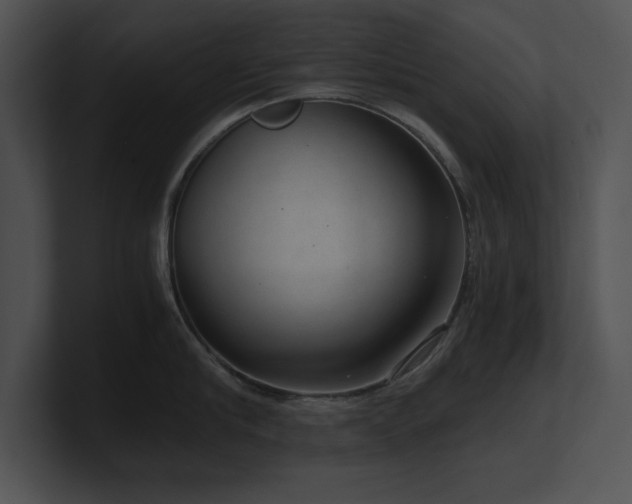X0000100900910200806241249