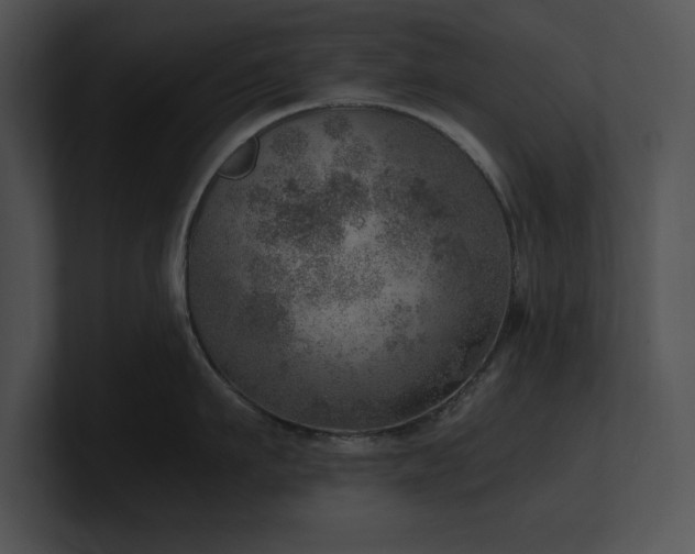 X0000100900911200806241249