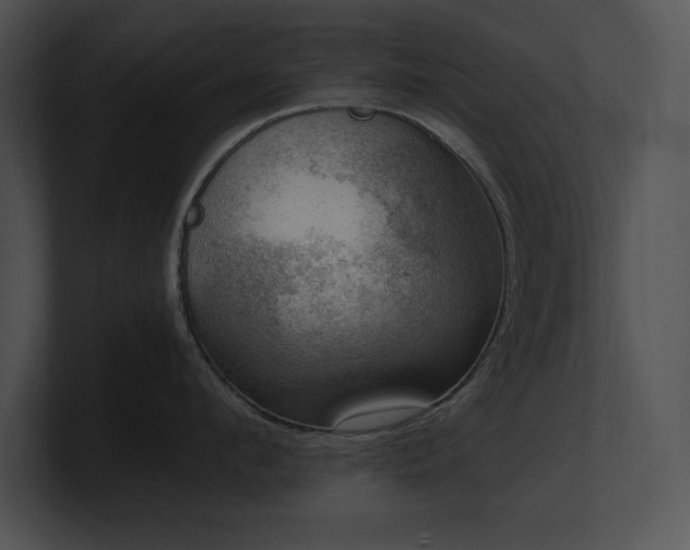 X0000100900912200806241249