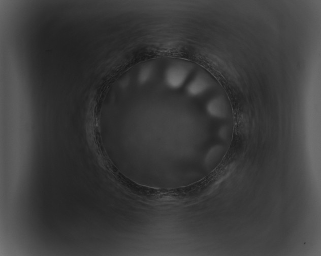 X0000100900913200806241249