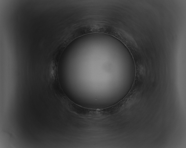 X0000100900914200806241249