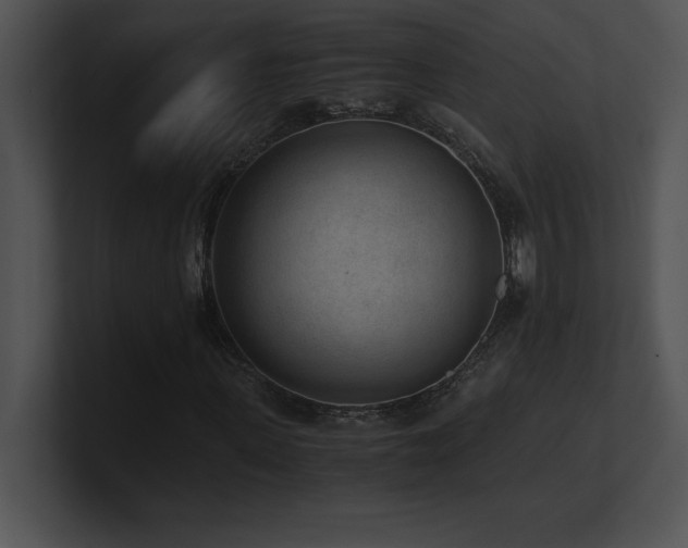 X0000100900915200806241249