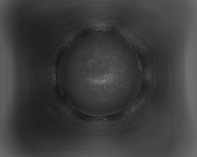 X0000100900916200806241249