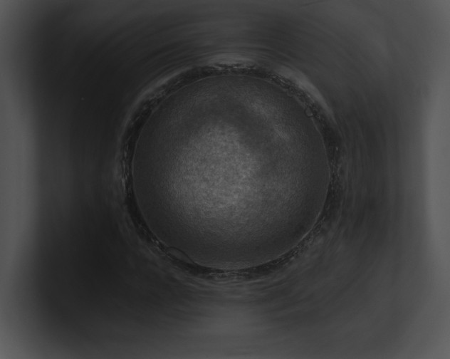X0000100900920200806241249