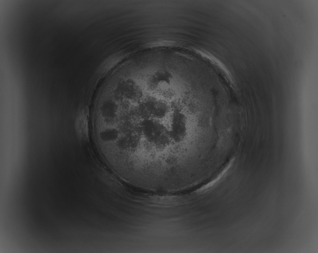 X0000100900921200806241249