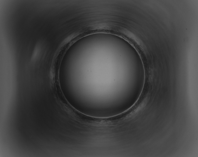 X0000100900922200806241249