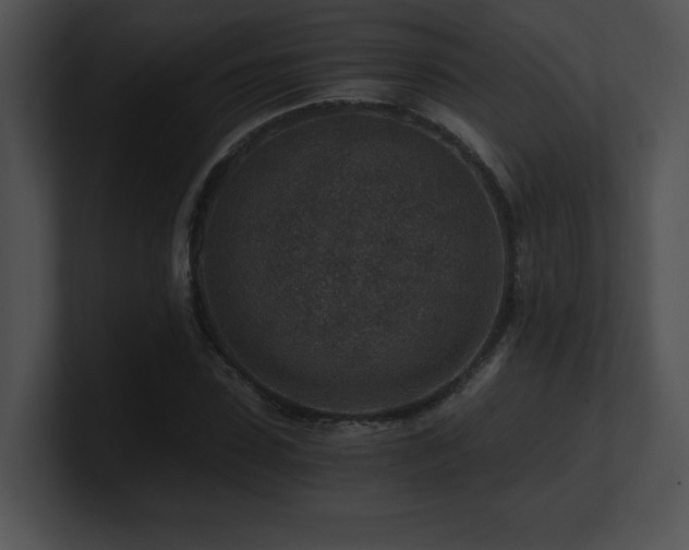 X0000100900923200806241249