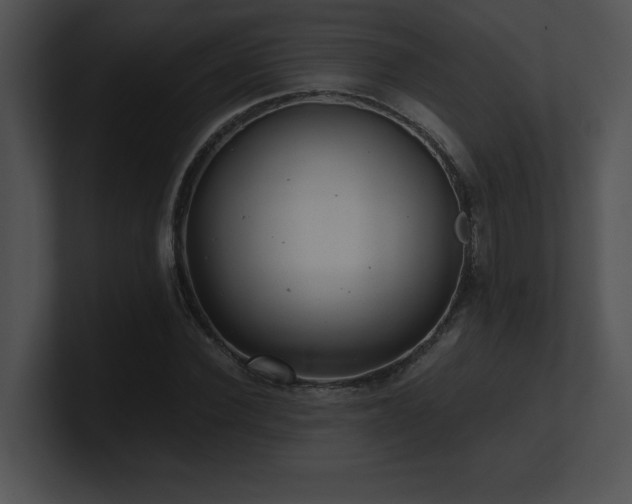 X0000100900924200806241249