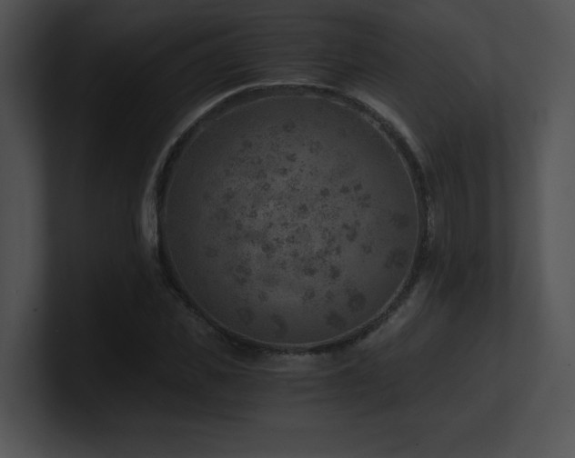 X0000100900925200806241249