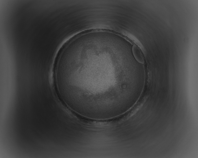 X0000100900928200806241249