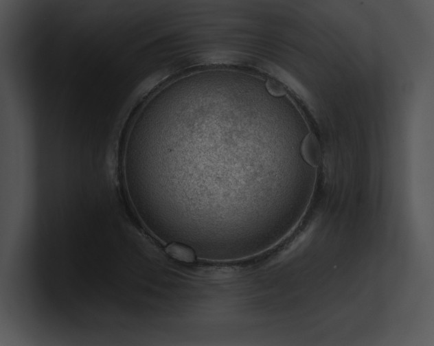 X0000100900930200806241249
