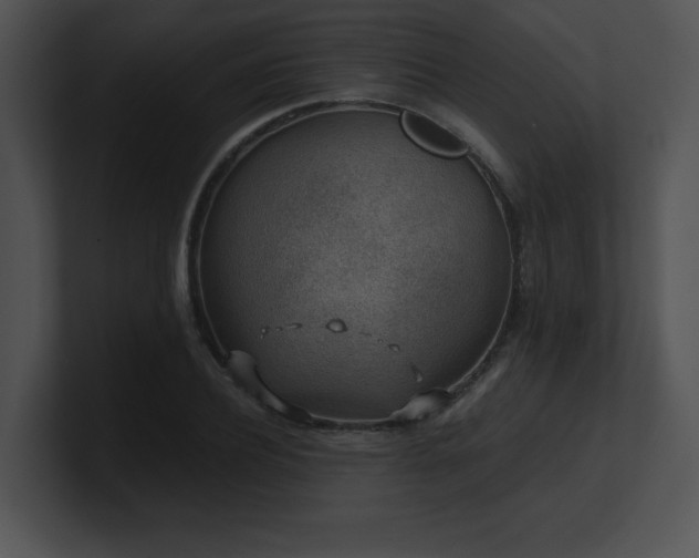 X0000100900932200806241249
