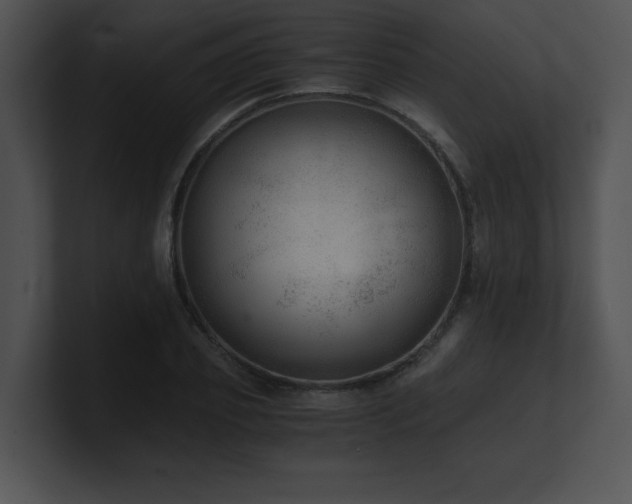X0000100900933200806241249
