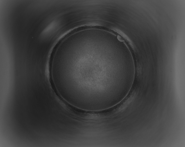 X0000100900935200806241249