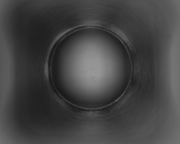 X0000100900936200806241249