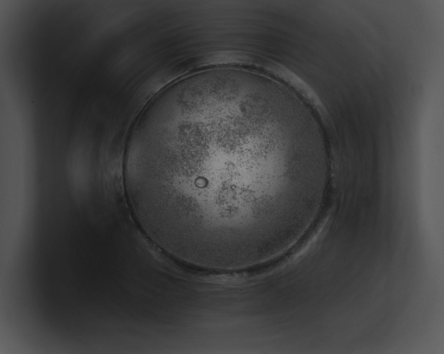 X0000100900937200806241249