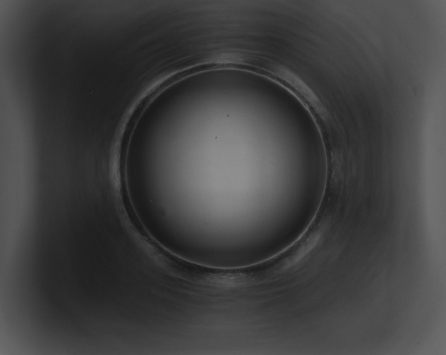 X0000100900939200806241249