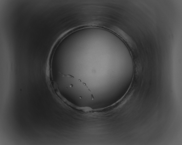 X0000100900940200806241249