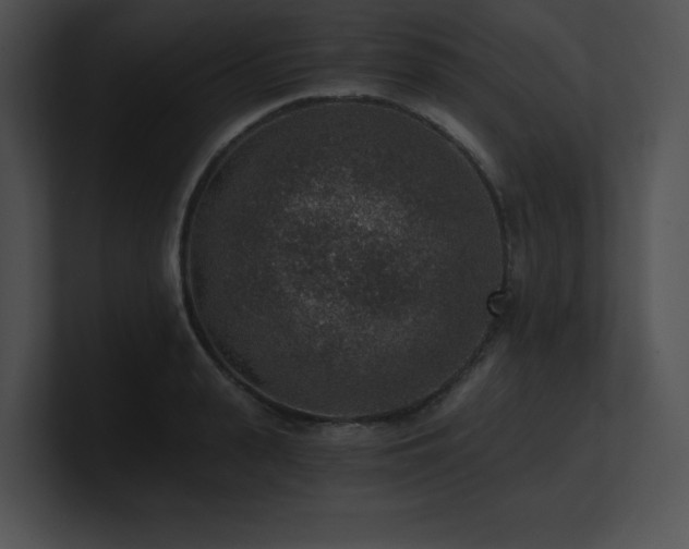 X0000100900943200806241249