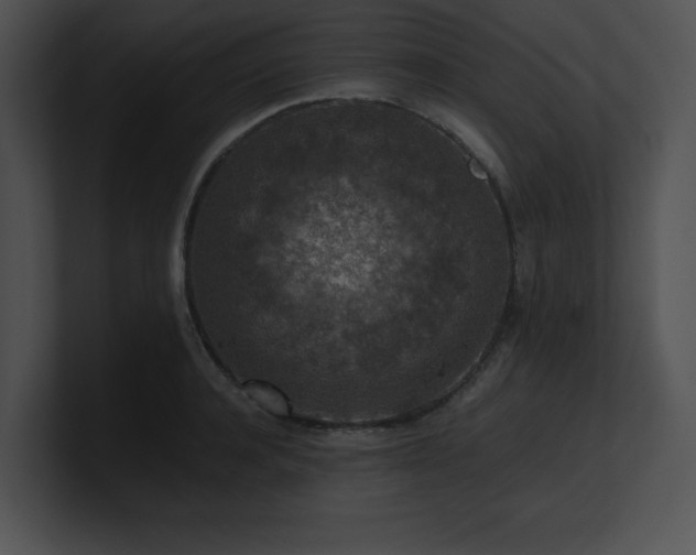 X0000100900944200806241249