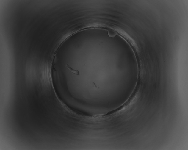X0000100900945200806241249