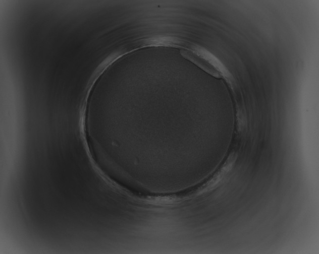 X0000100900946200806241249