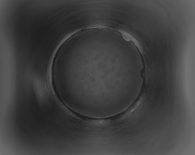 X0000100900949200806241249