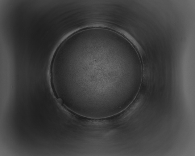 X0000100900951200806241249